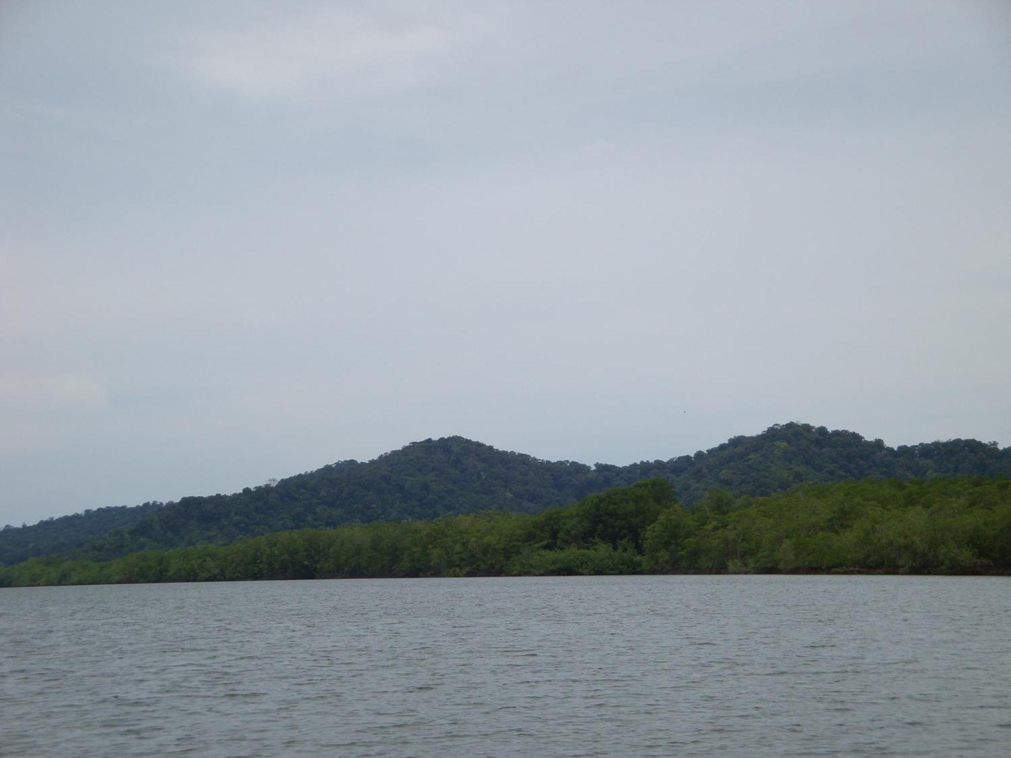 Isla Violin Eco-Lodge Drake Bay Exterior foto