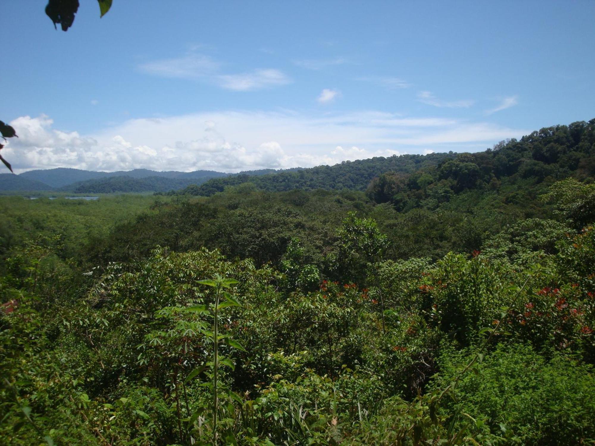 Isla Violin Eco-Lodge Drake Bay Exterior foto