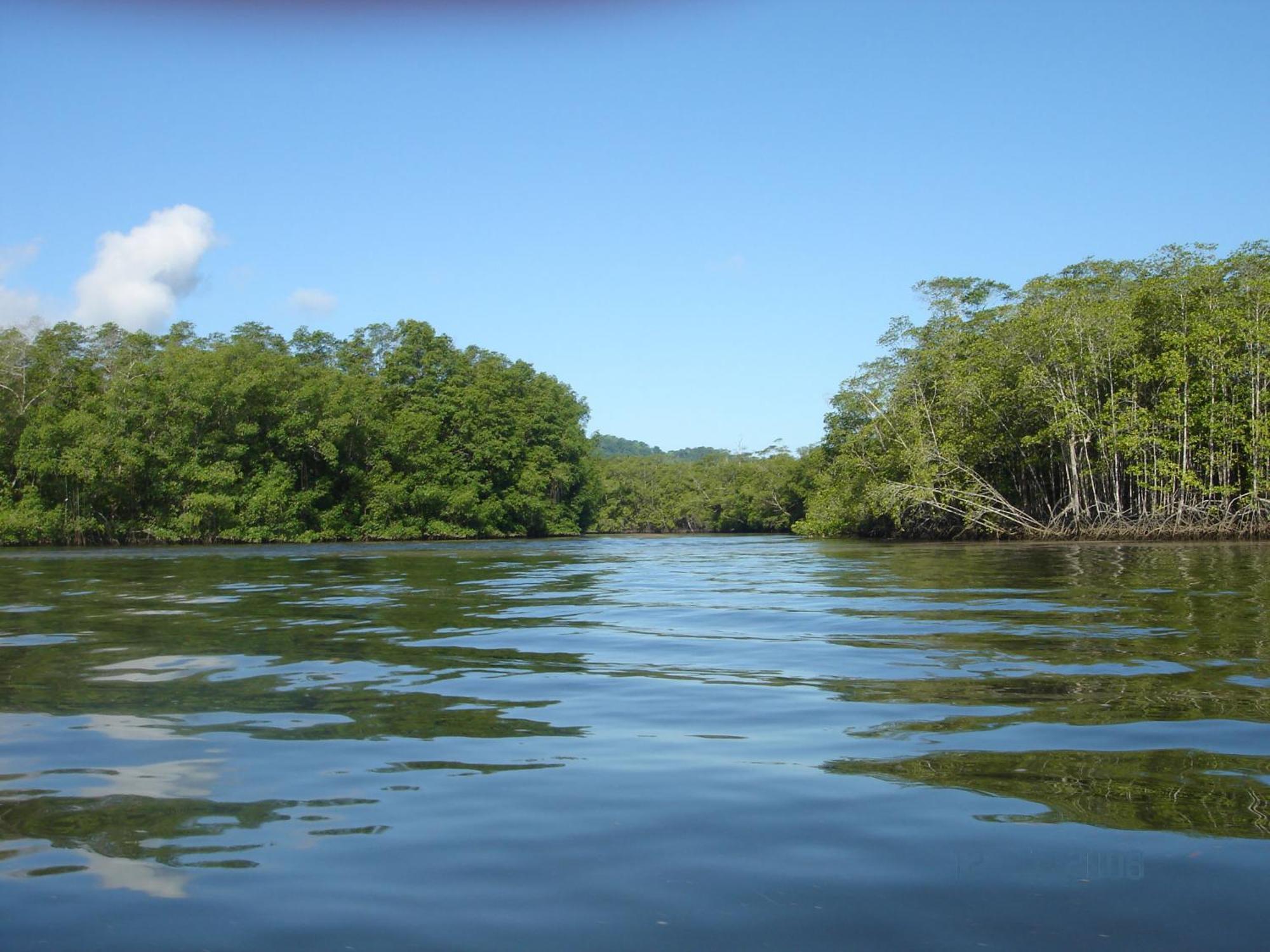 Isla Violin Eco-Lodge Drake Bay Exterior foto