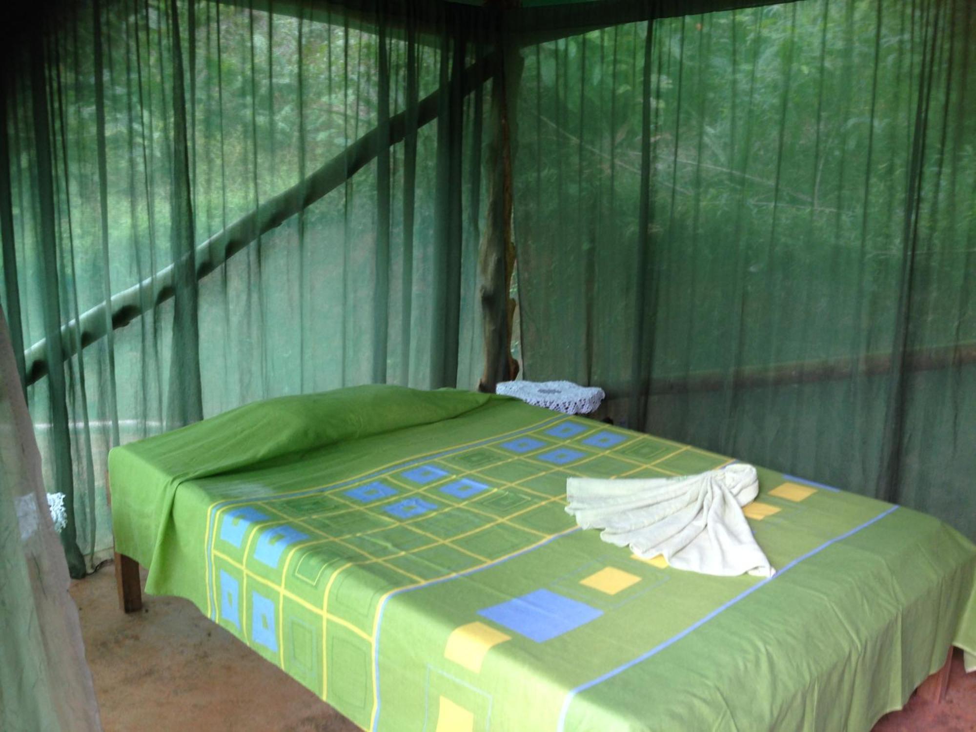 Isla Violin Eco-Lodge Drake Bay Quarto foto