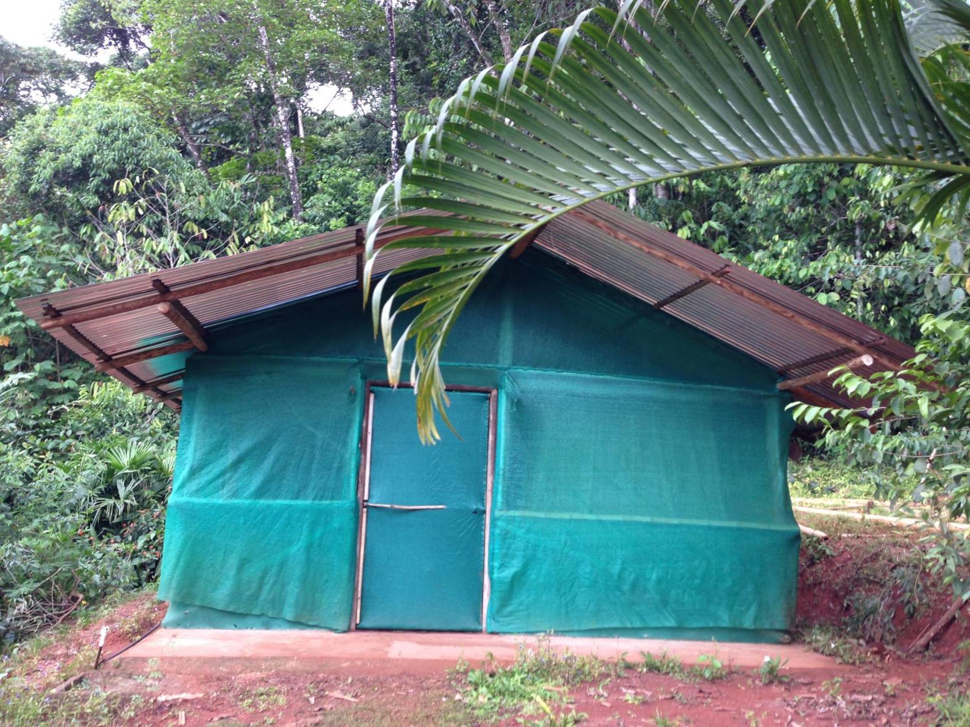 Isla Violin Eco-Lodge Drake Bay Quarto foto