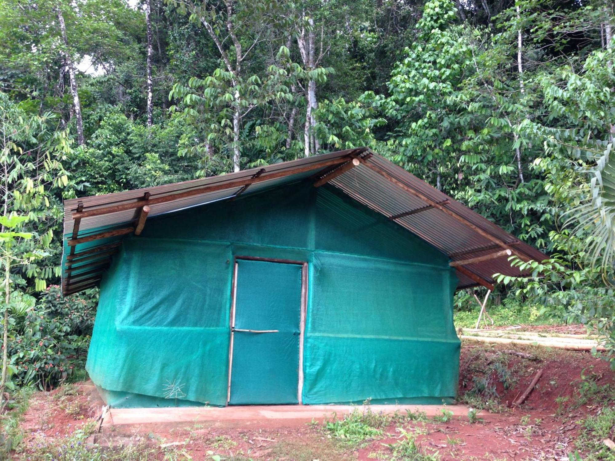 Isla Violin Eco-Lodge Drake Bay Quarto foto